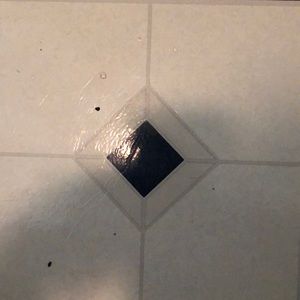 Meet your Posher, Willie